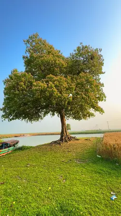 Weather Demand ☀️