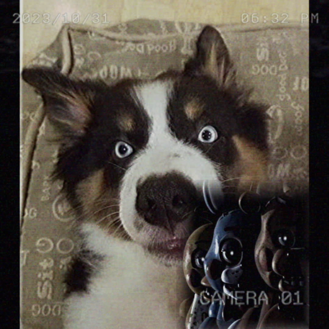 Smiledog 