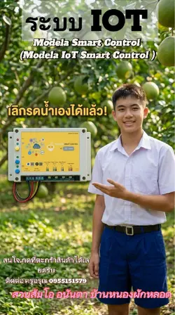 ระบบIOT