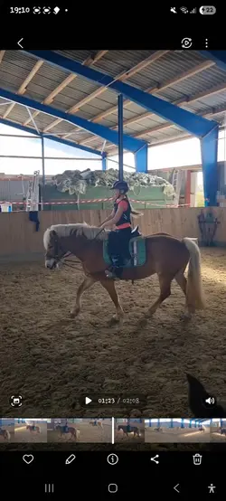 Reiten