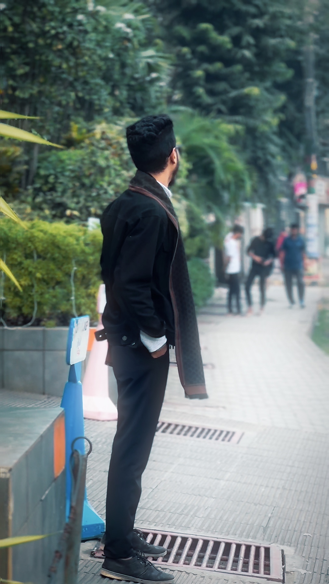 Cover Picture