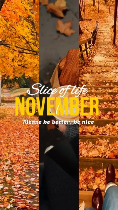 Histórias de novembro 