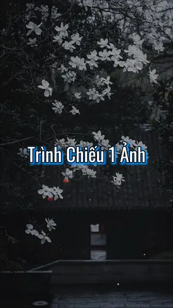 Trình Chiếu 1 Ảnh