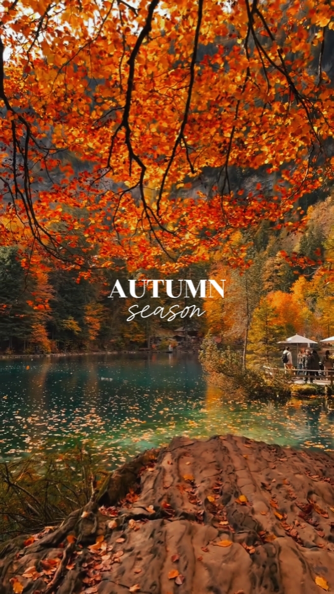 autumn seasons