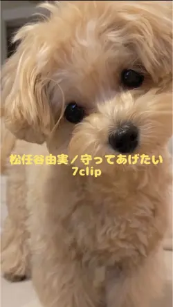 松任谷由実／守ってあげたい