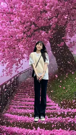 Cảnh hoa rơi
