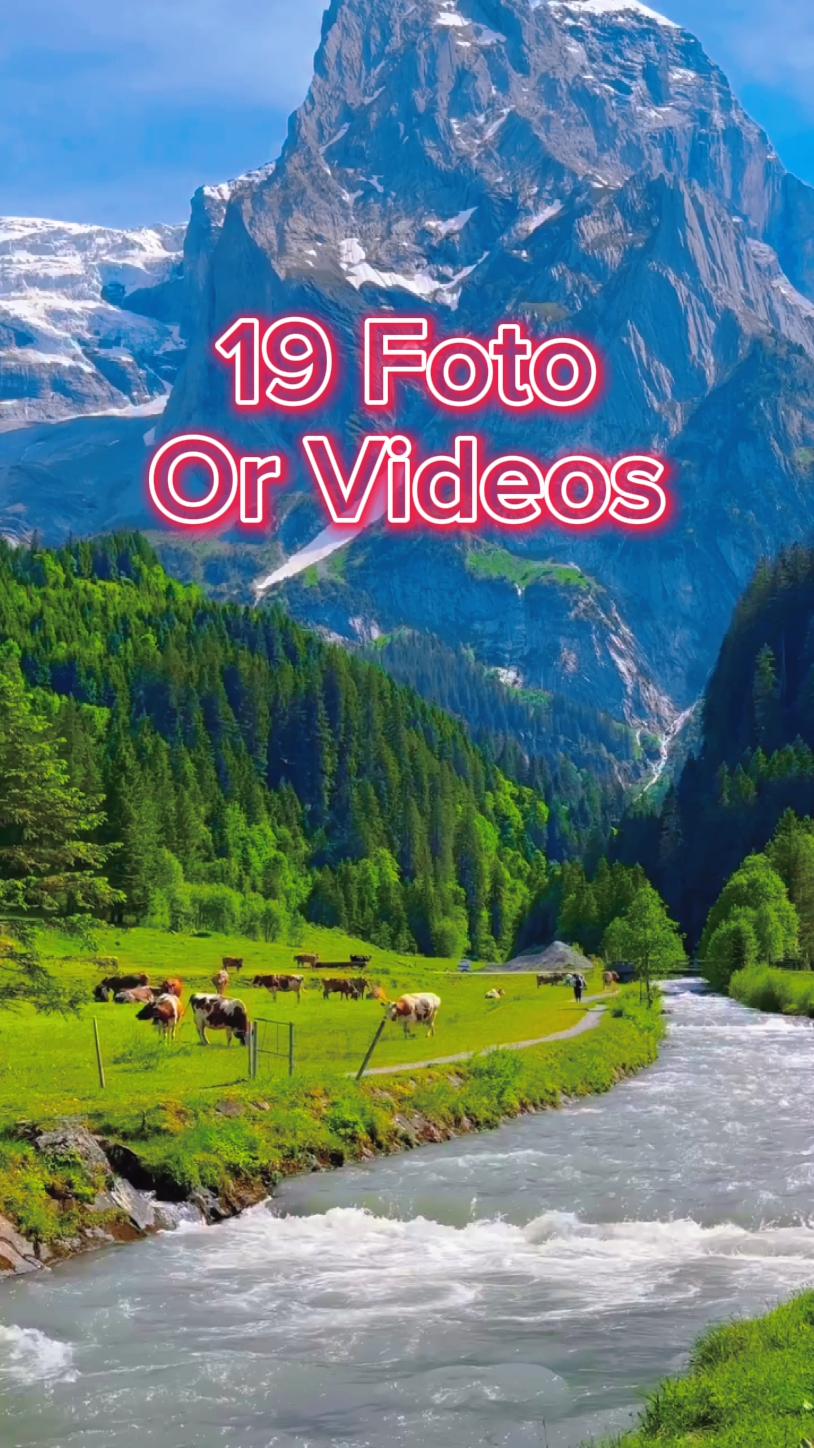 19 Diapositivas de fotos