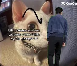 tatilbununiçinvar:D