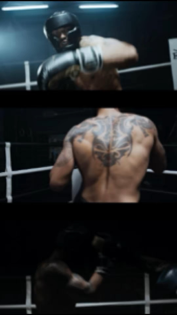 Born to Box 
