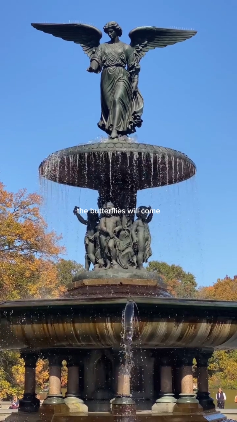 Ein schöner Garten