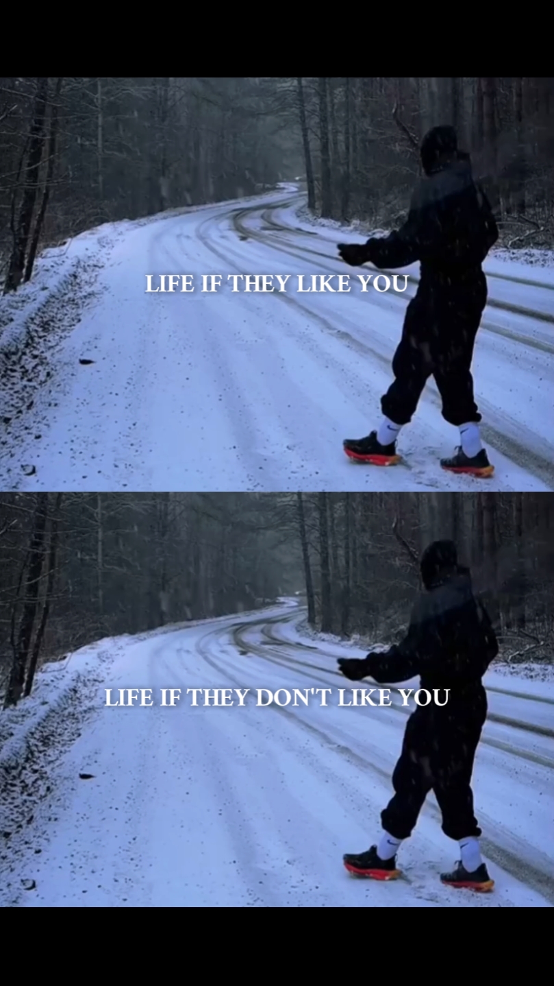 LifeIfTheyLikeYou