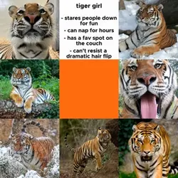 Tiger girl