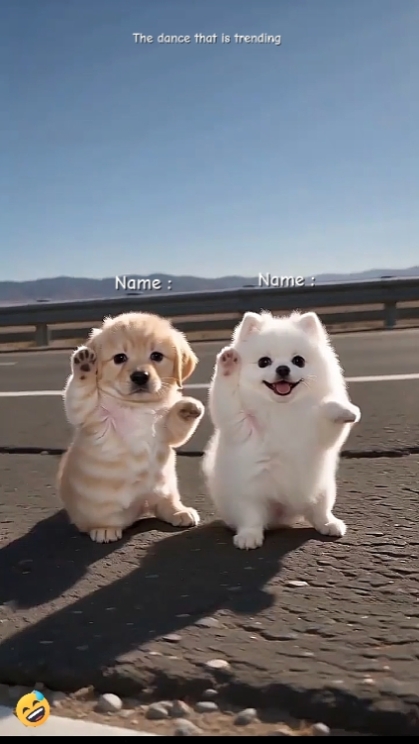 Tendência De Dança