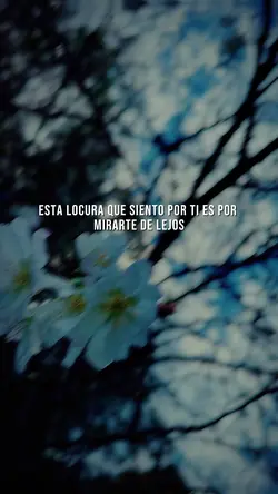 Si yo fuera ladrón