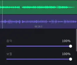 stray kids 특 보컬 리무버