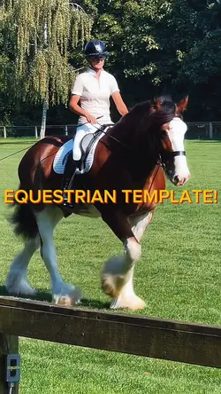 Equestrain template