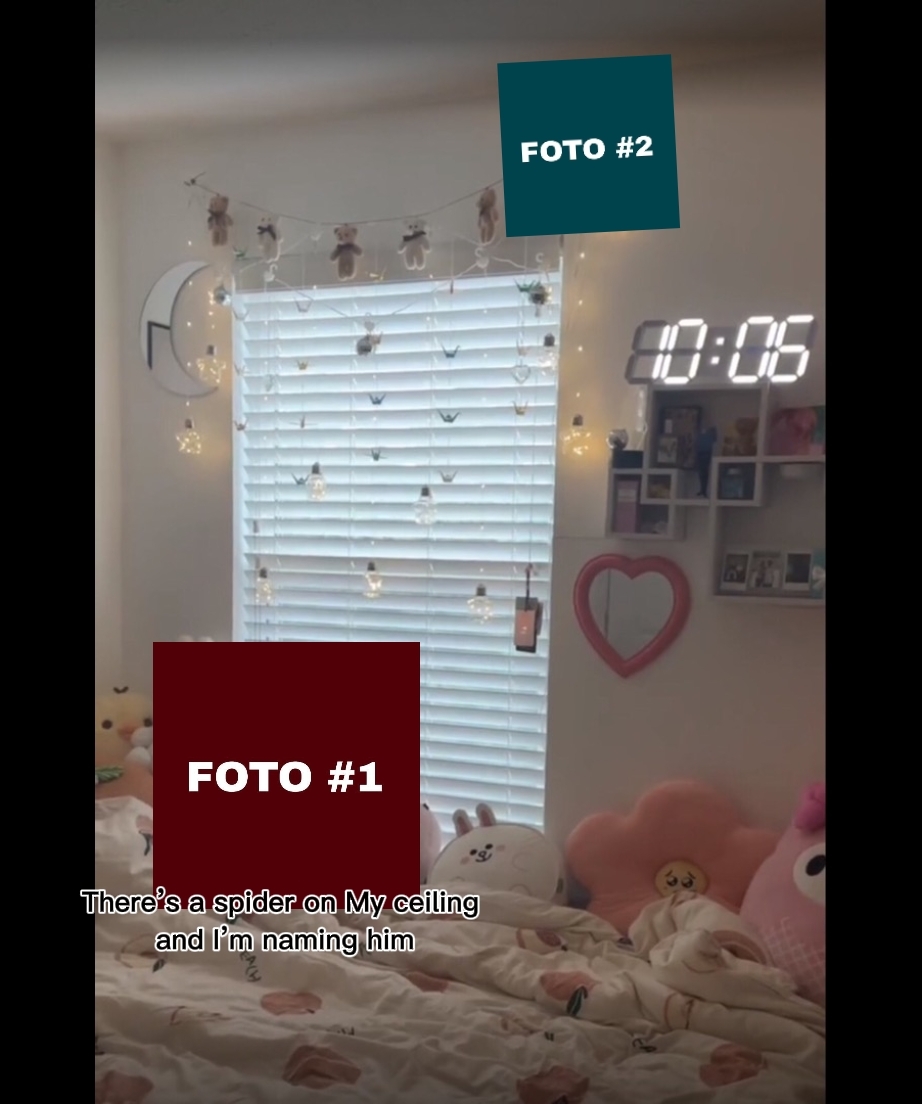 EDICIÓN PROFESIONAL MASTAR
