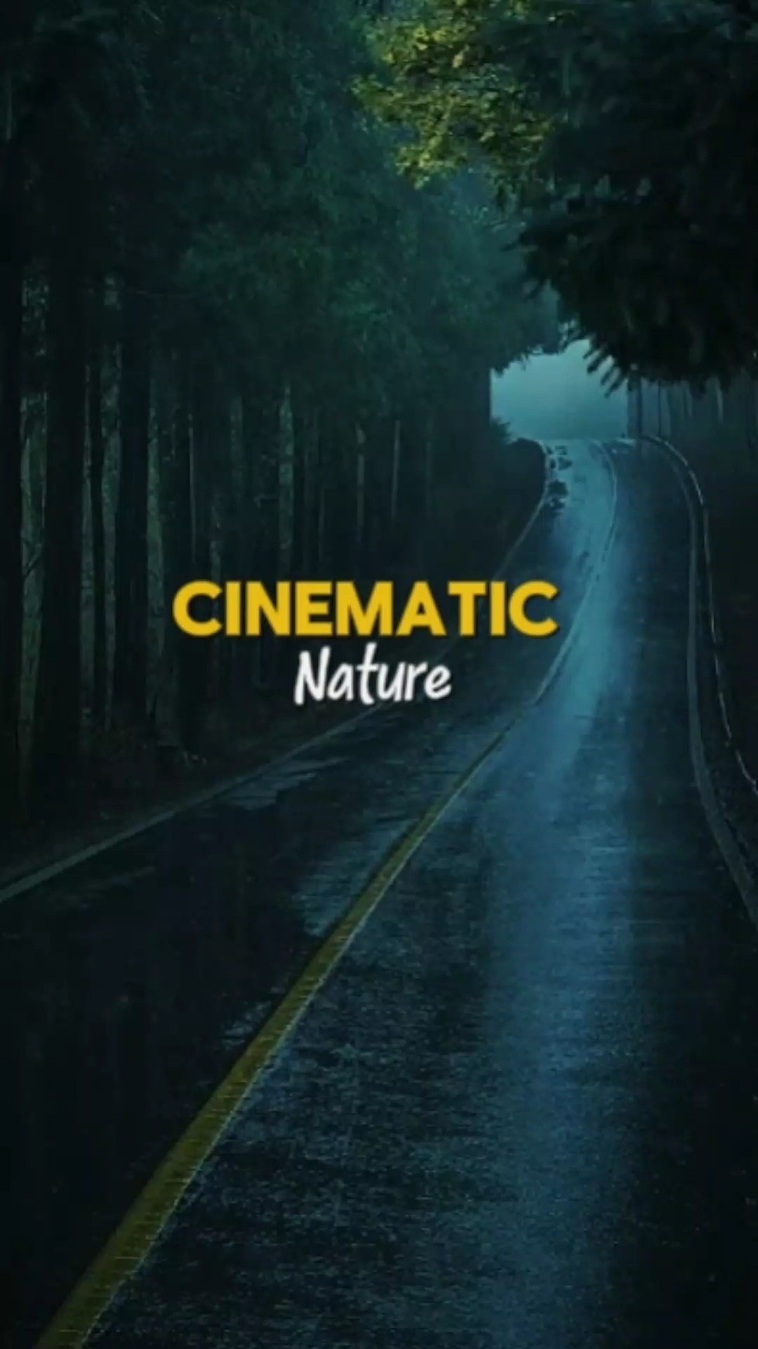 Cinematic nature 
