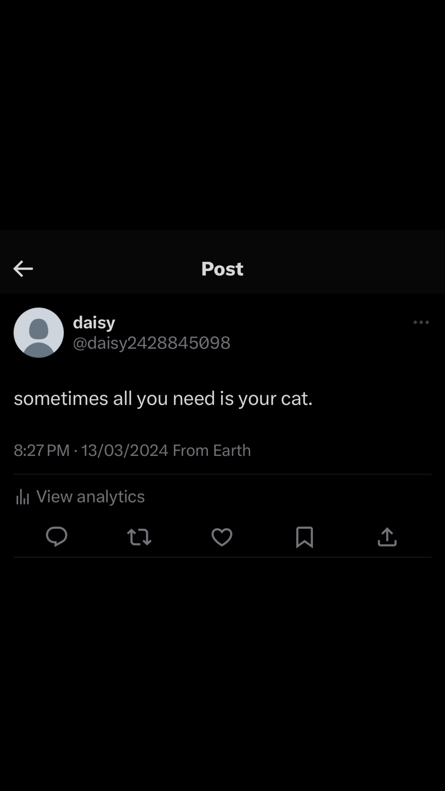 Gato 