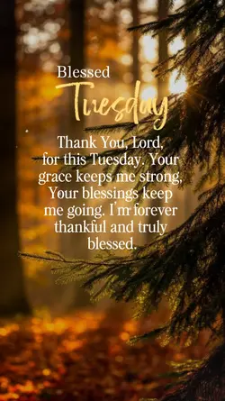 Tuesday 