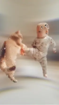 ❤️❤️❤️❤️❤️