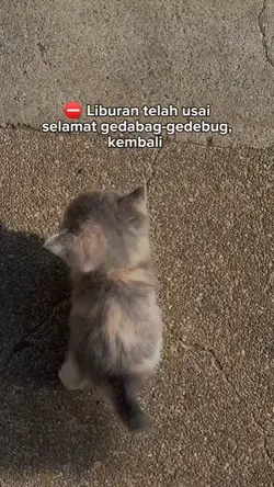 Liburan telah usai