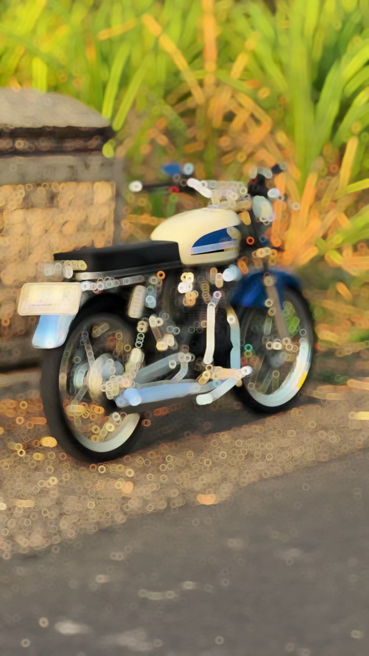Cover Picture