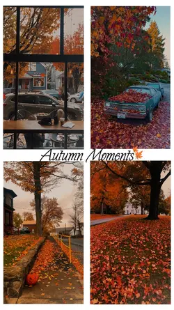 AUTUMN MOMENTS