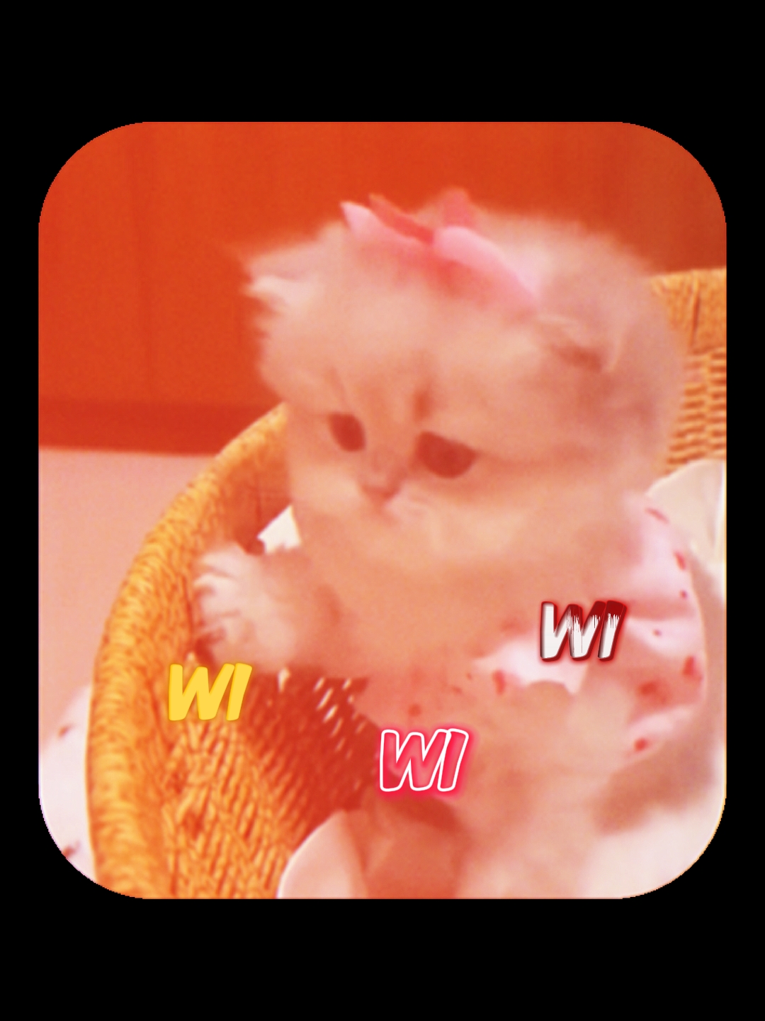 wewi