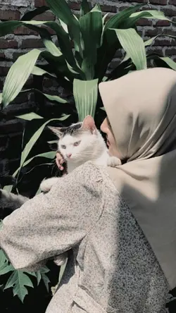 arabic song