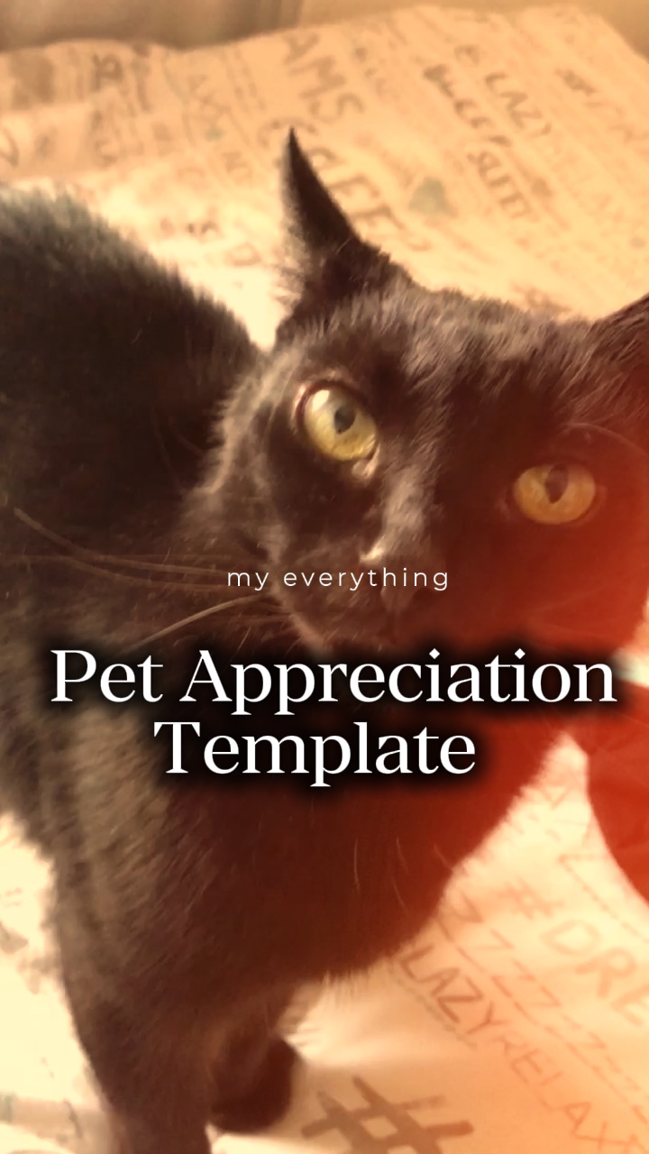 Pet Appreciation ❤️