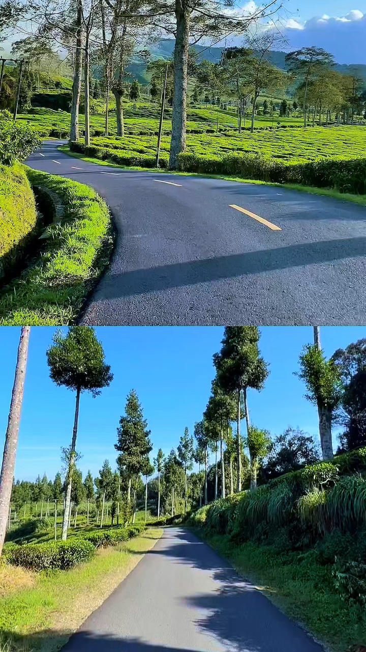 2 videos kolase 