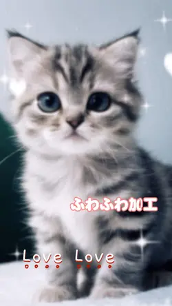 ラブポーション💕