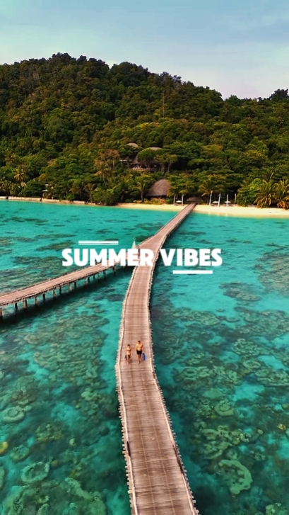 Summer Vibes 