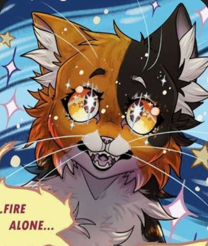 Cover Picture