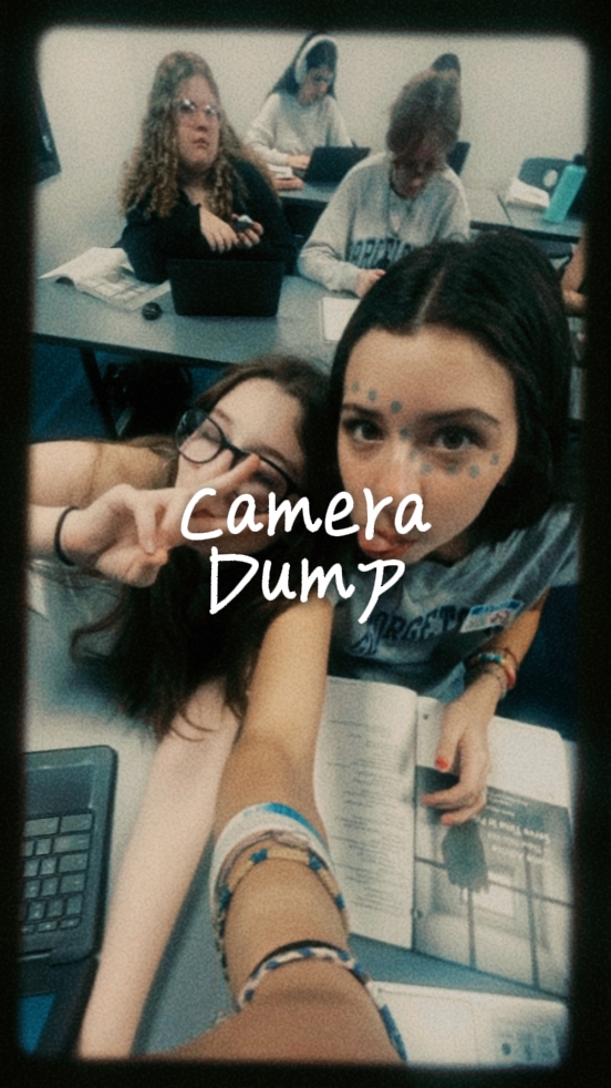 Camera memory dump