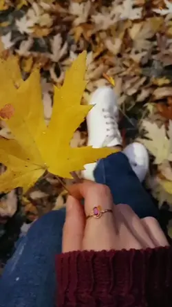 autumn