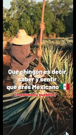 Orgullo Mexicano 
