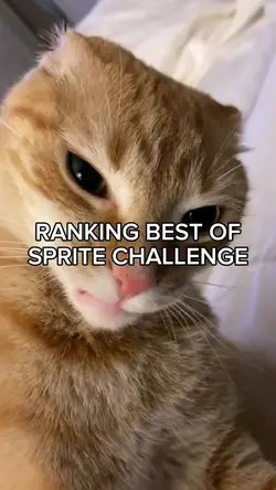 THE SPRITE CHALENGE-