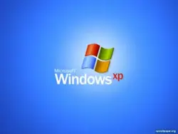 windows XP 