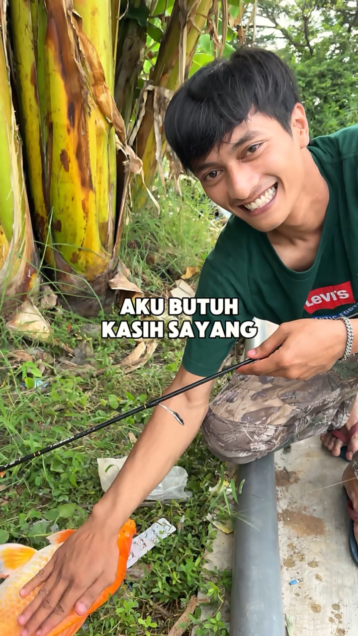 6 Photo 1 Video