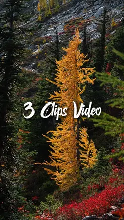 3 Clips Video