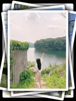 8Pic Frame Aesthetic