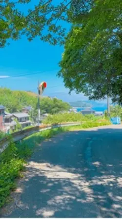 穏やかな夏の日