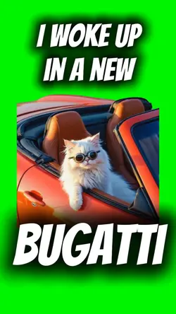 Cat Bugatti Meme
