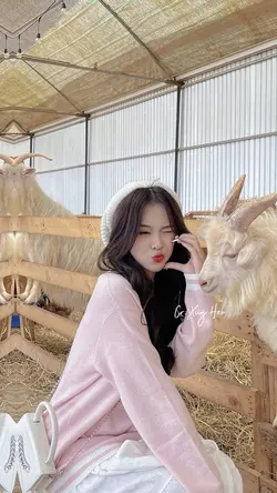 10 ảnh nhẹ nhàng