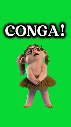 conga!