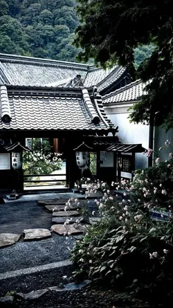 pic 2 ảnh 