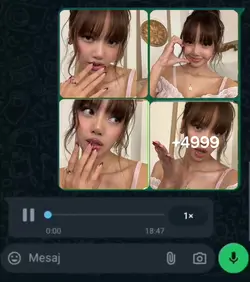 Olm sen mal mısın?