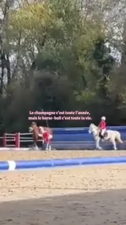 Le horse-ball 